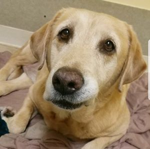 Meet your Posher, Clay